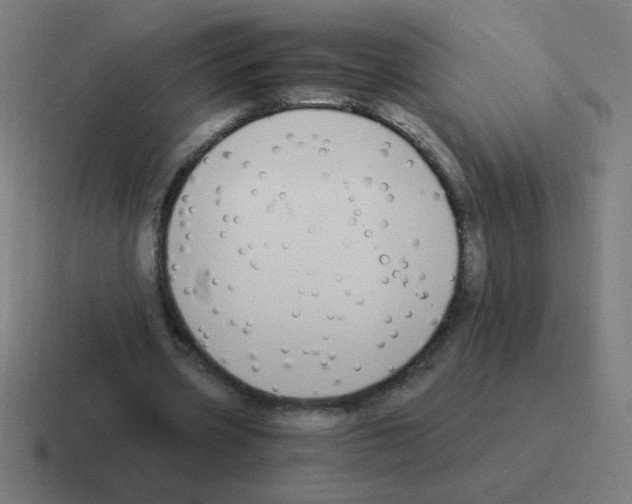 X0000116020533200912312155