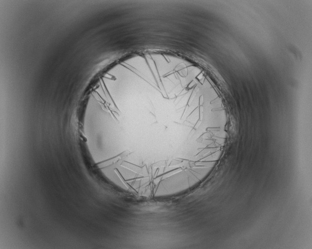 X0000116020534200912312155