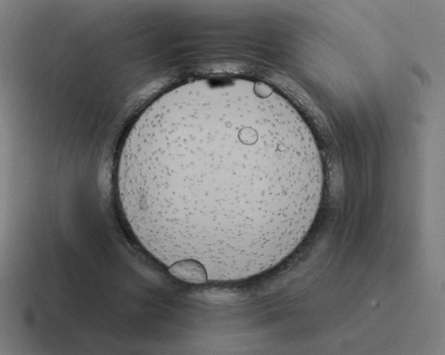 X0000116020537200912312155