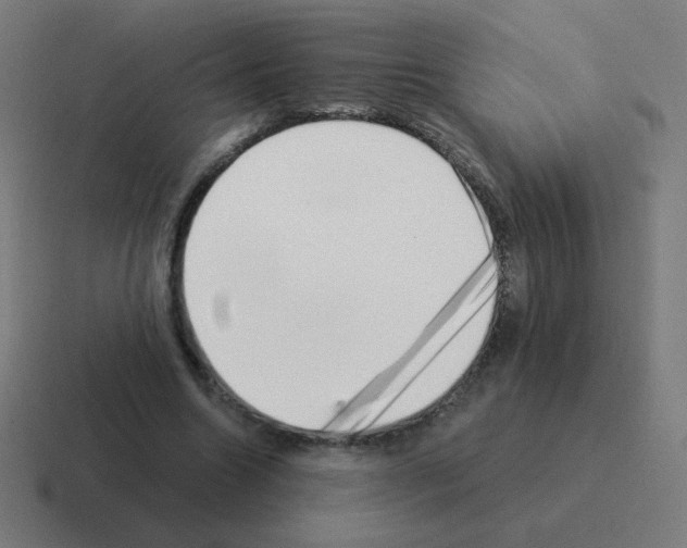 X0000116020538200912312155