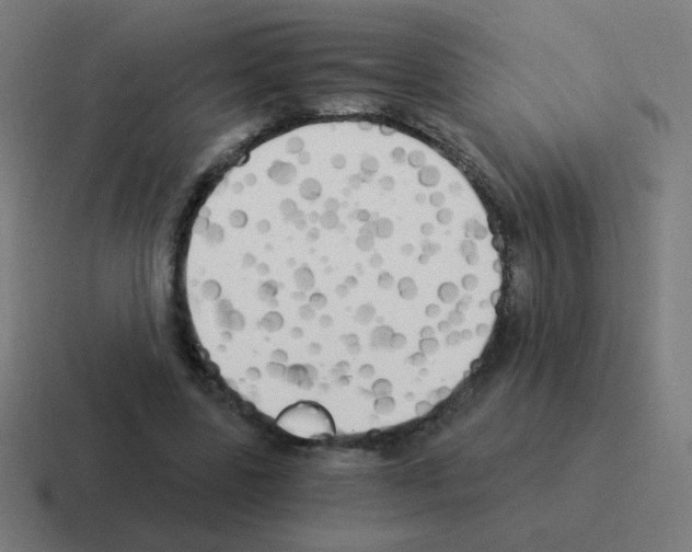 X0000116020539200912312155