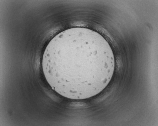 X0000116020541200912312155