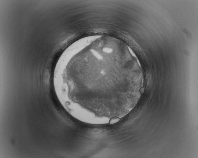 X0000116020542200912312155