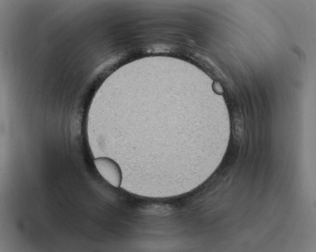 X0000116020543200912312155