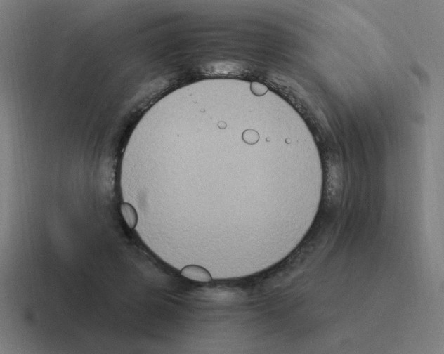 X0000116020545200912312155