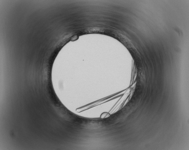 X0000116020546200912312155