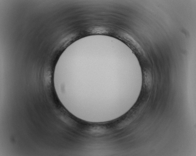 X0000116020549200912312155