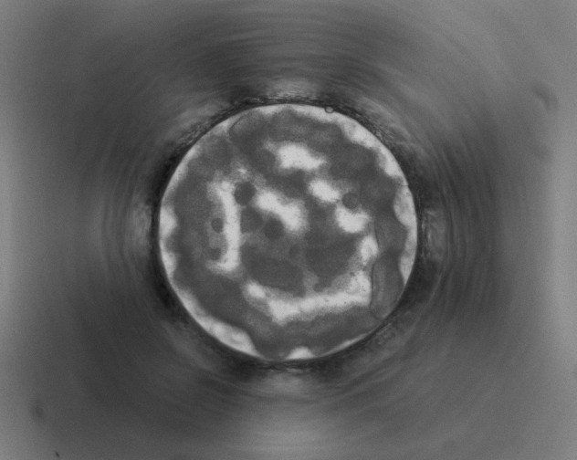 X0000116020550200912312155