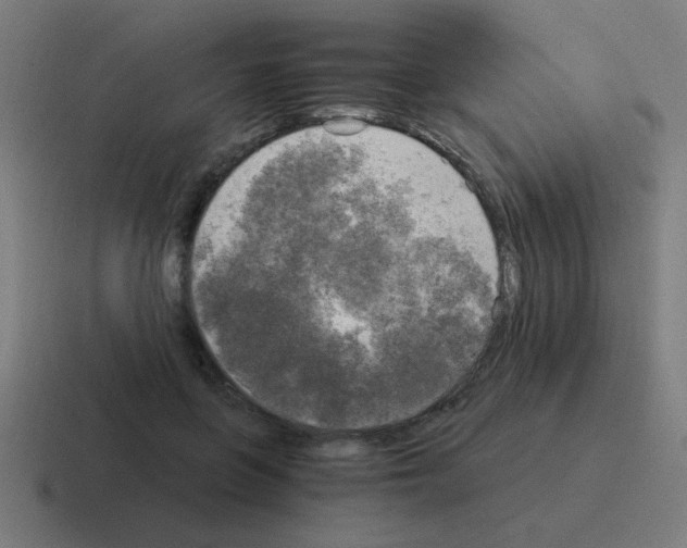 X0000116020551200912312155