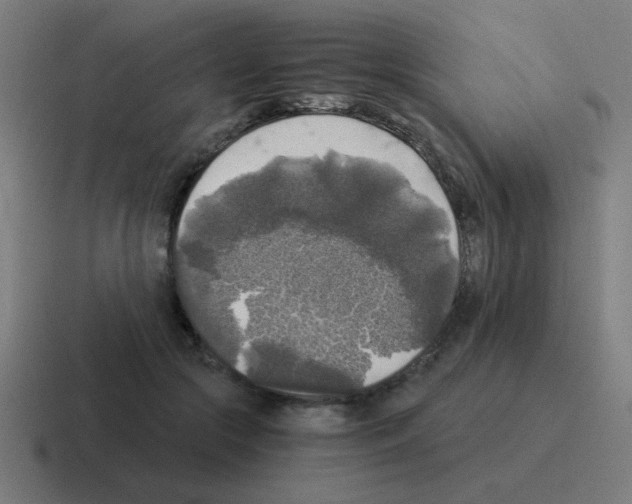 X0000116020553200912312155