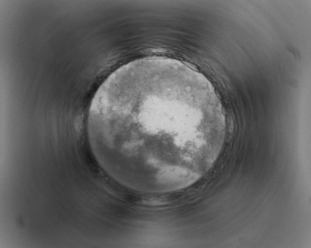 X0000116020559200912312155