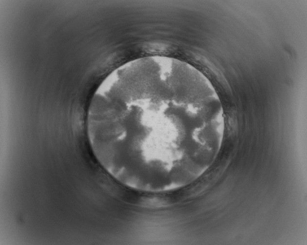 X0000116020561200912312155