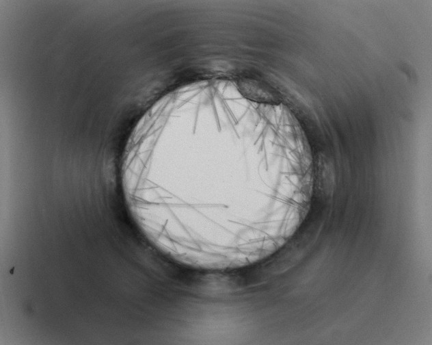 X0000116020562200912312155