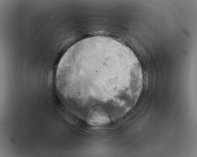 X0000116020563200912312155