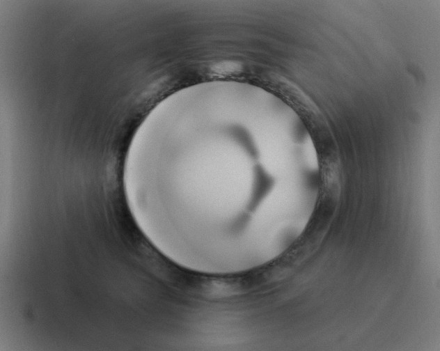 X0000116020565200912312155