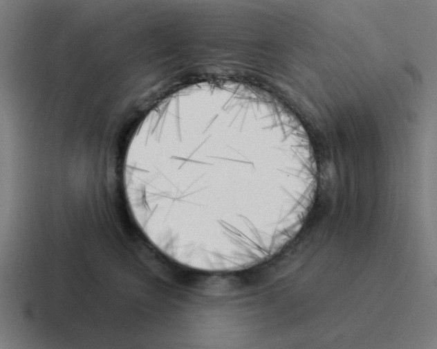 X0000116020566200912312155