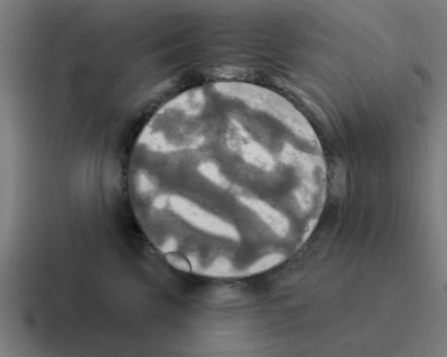 X0000116020569200912312155