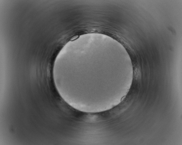 X0000116020570200912312155