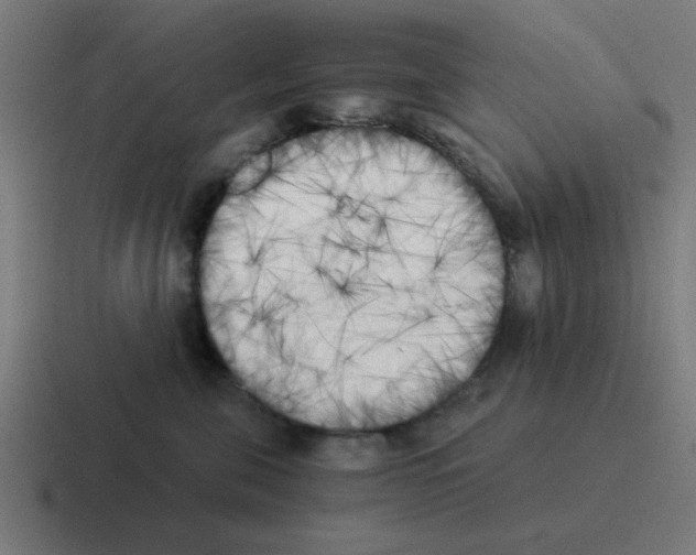 X0000116020571200912312155