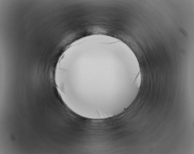 X0000116020573200912312155