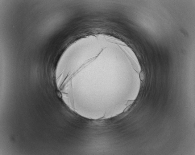 X0000116020574200912312155