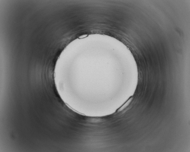 X0000116020575200912312155