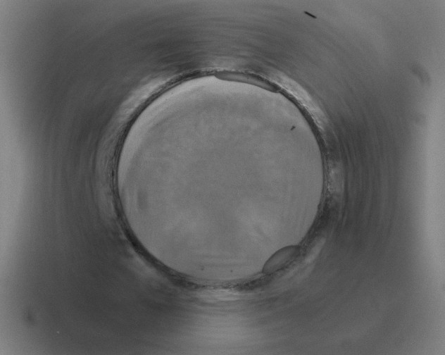 X0000116020577200912312154