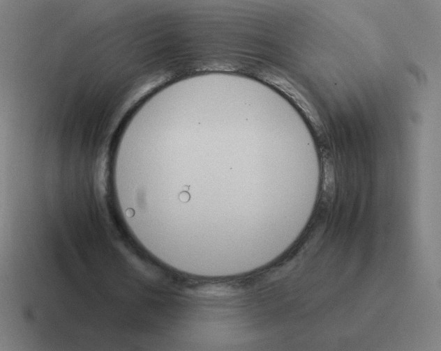 X0000116020578200912312154