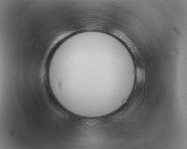 X0000116020579200912312154