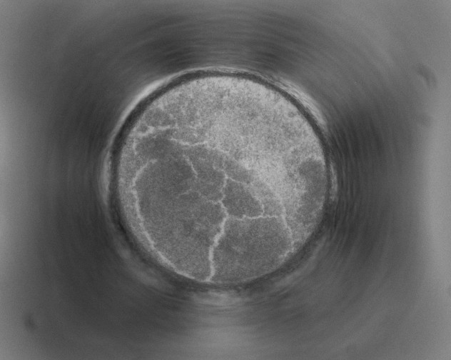 X0000116020580200912312154