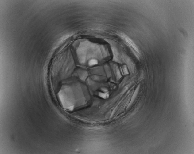 X0000116020581200912312154