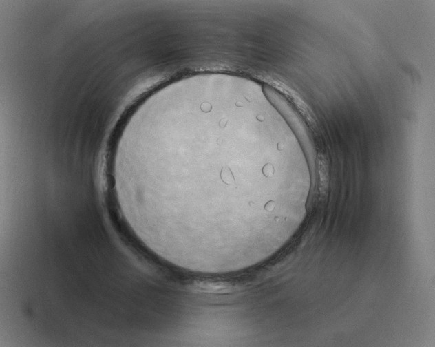 X0000116020582200912312154