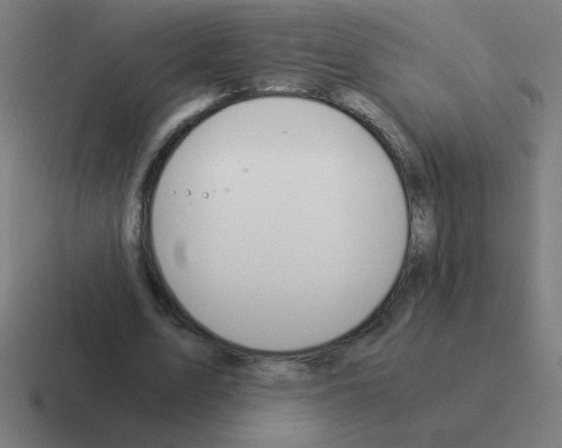 X0000116020583200912312154