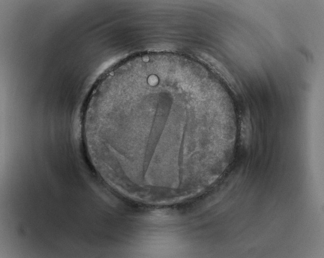 X0000116020584200912312154