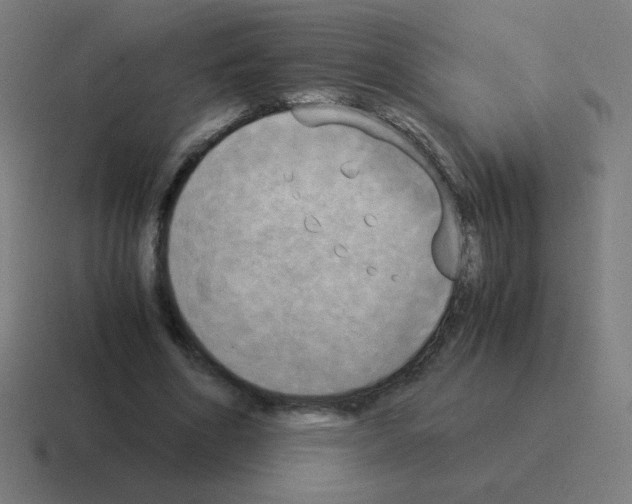 X0000116020586200912312154