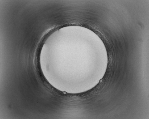 X0000116020587200912312154