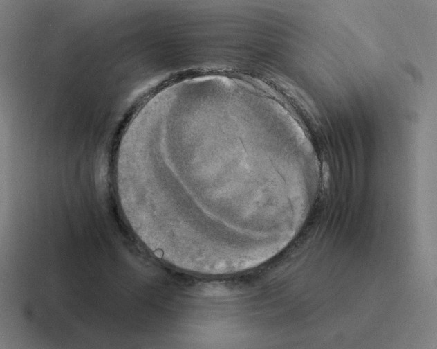 X0000116020588200912312154