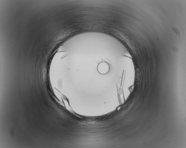 X0000116020589200912312154