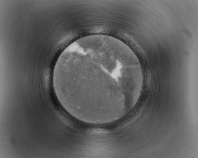 X0000116020590200912312154