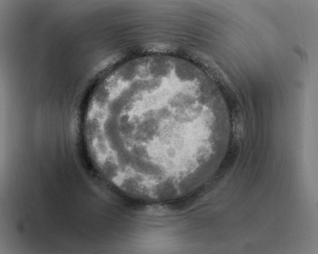 X0000116020591200912312154