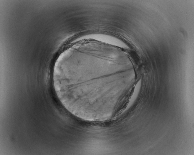 X0000116020592200912312154