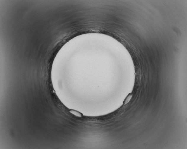 X0000116020595200912312154