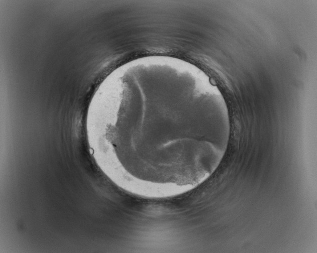 X0000116020596200912312154