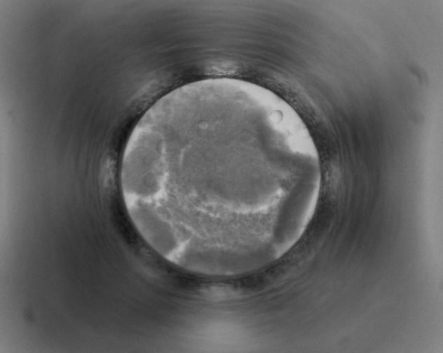 X0000116020598200912312154