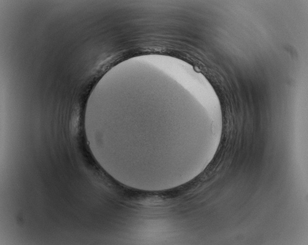 X0000116020600200912312154