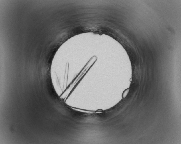 X0000116020601200912312154