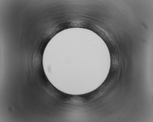 X0000116020603200912312154