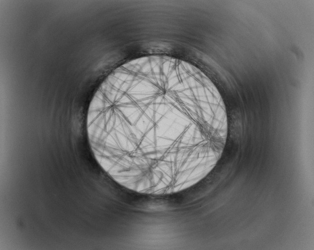 X0000116020604200912312154