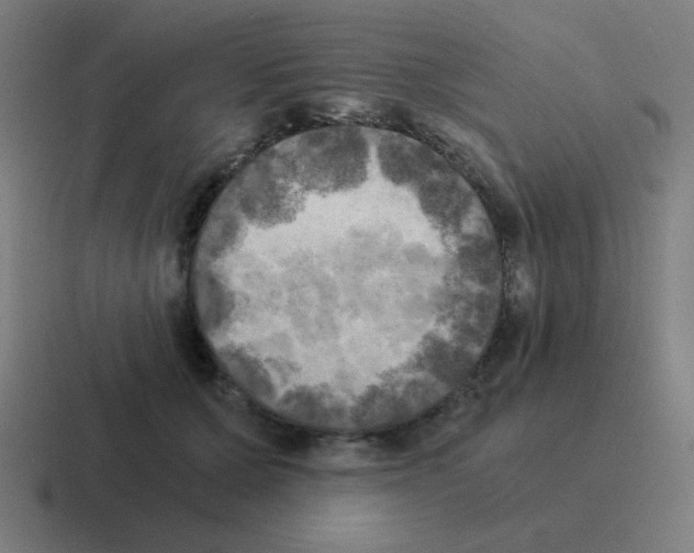 X0000116020607200912312154