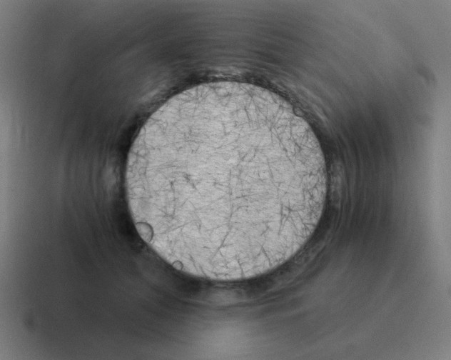 X0000116020608200912312154